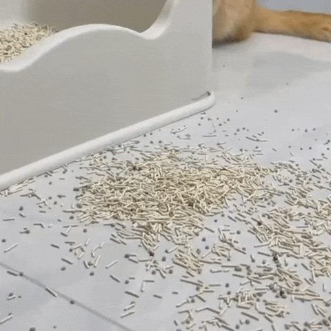 Tapete Para Arenero Recolector JL03